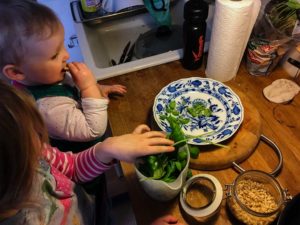 Das Pesto wird zubereitet - Rezept Nudeln mit selbst gemachtem Basilikumpesto nudel rezept, nudeln, rezepte, gesünder essen für kinder, schnelles essen für kinder, gesundes essen für kinder, Nudeln mit selbst gemachtem Basilikumpesto